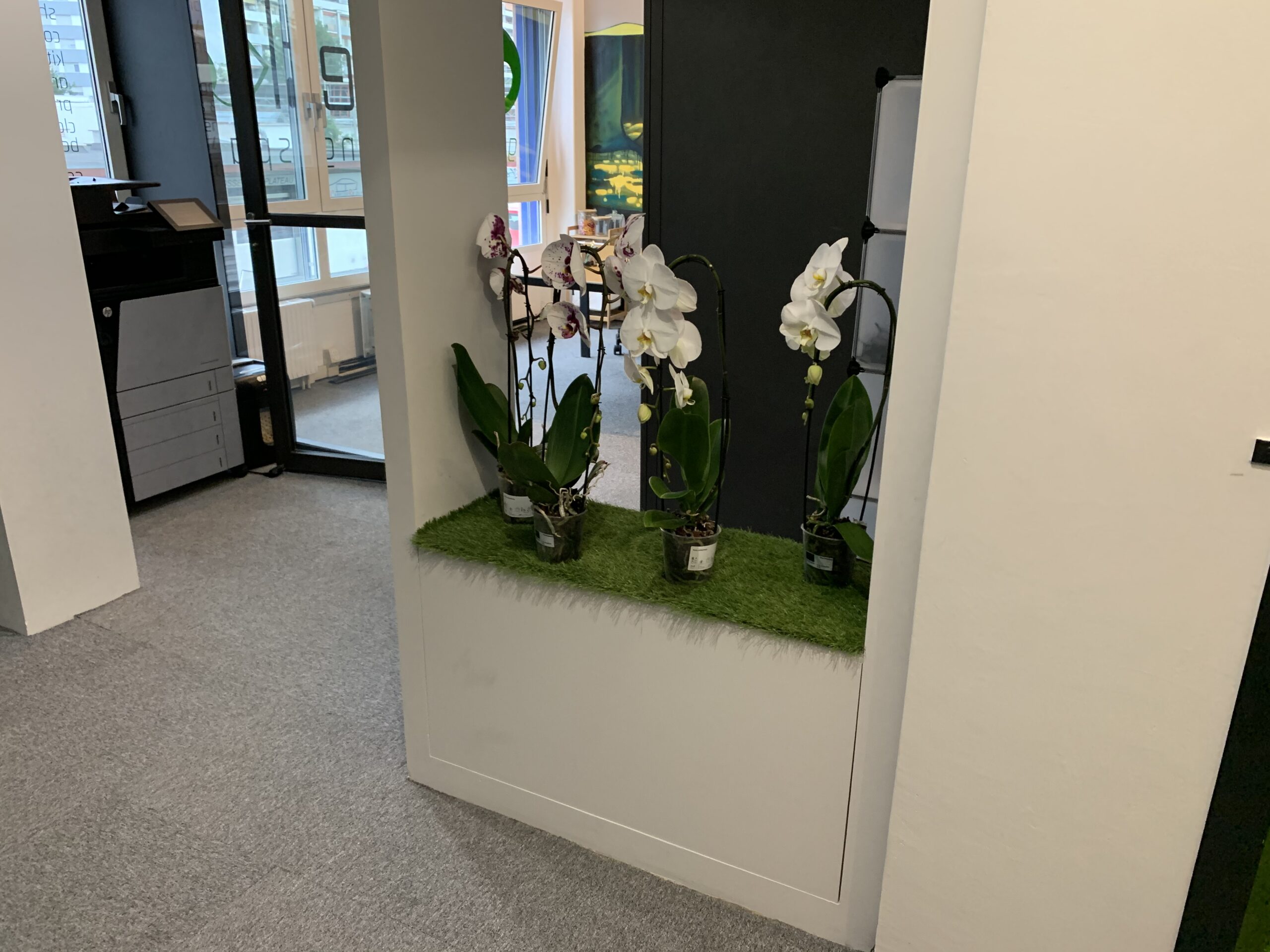 L'entrée d'OurDesk avec les orchidées
